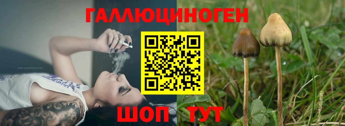 Соль-Илецк  Галлюциногенные грибы Psilocybe  Псилоцибиновые грибы Magic Shrooms  Вход с VPN 